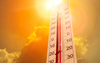 The Science of Comfort: Understanding Temperature Regulation